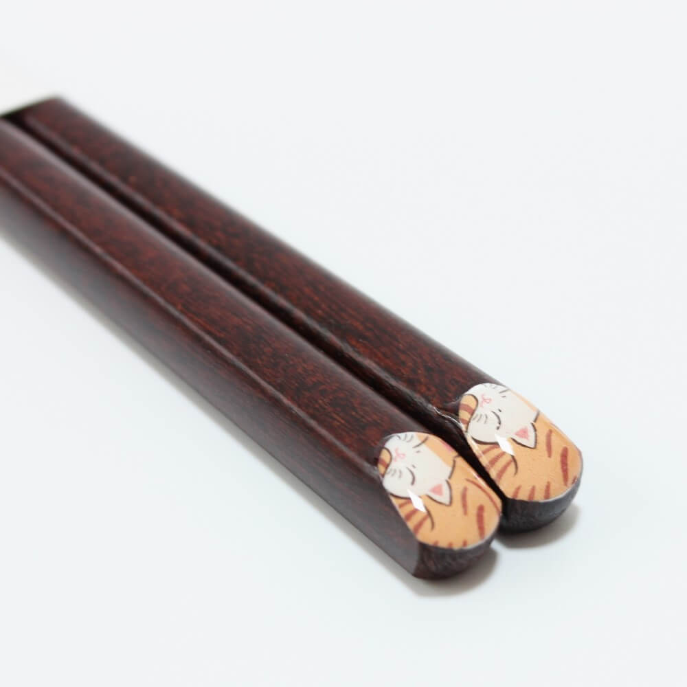 close up chopstick handles showing tabby cat face