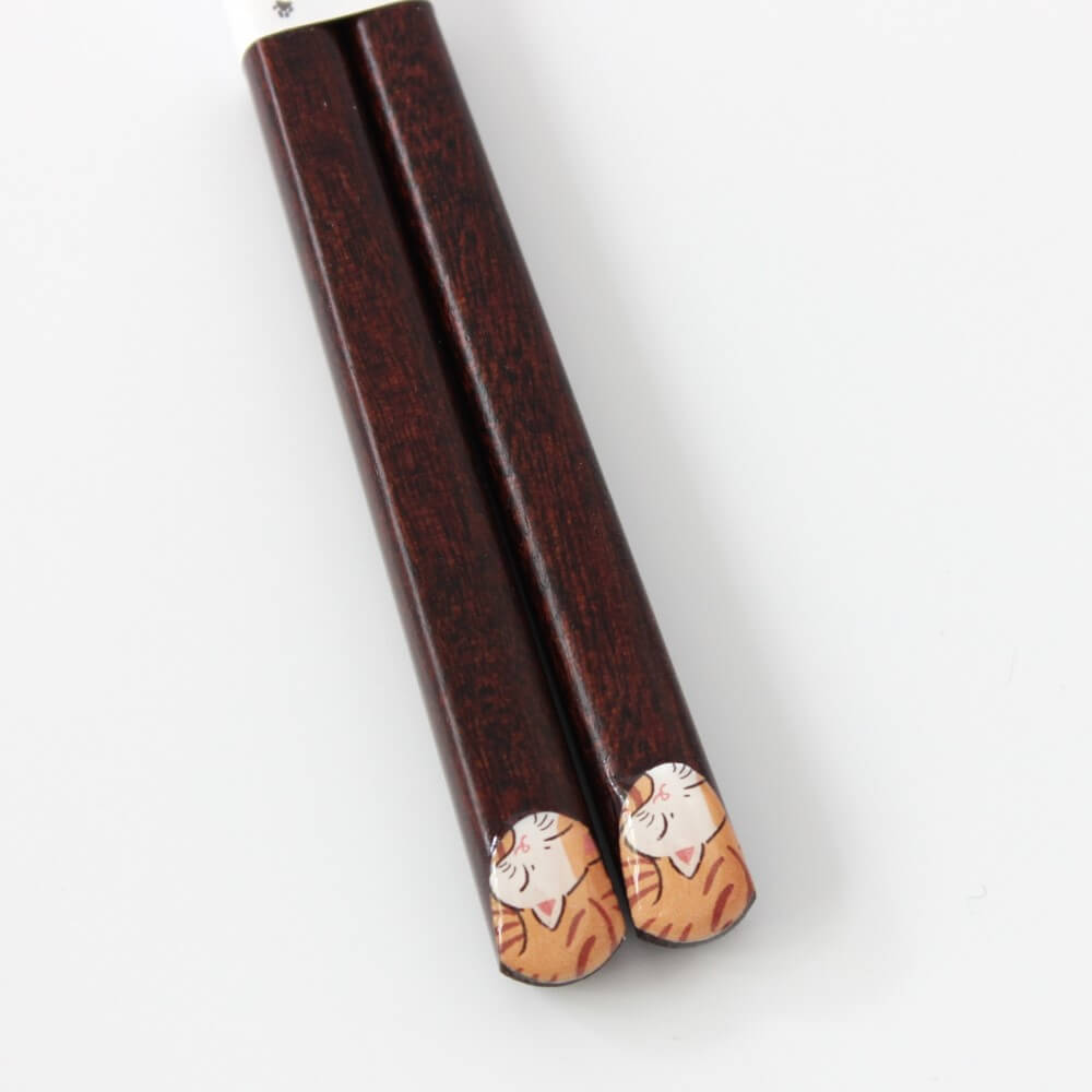 overhead shot hidamari tabby cat chopsticks handle tips