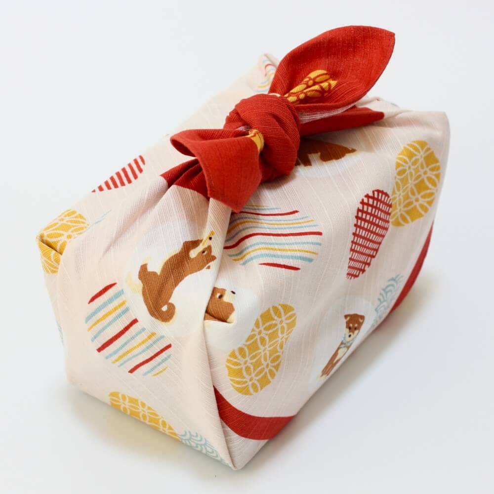 top angled shot shiba dog red furoshiki